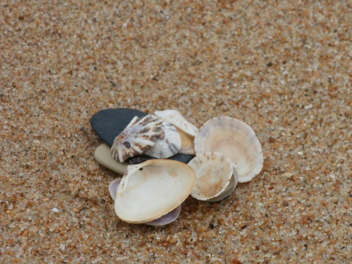 Amelia'S By The Sea 호텔 Great Brak River 외부 사진